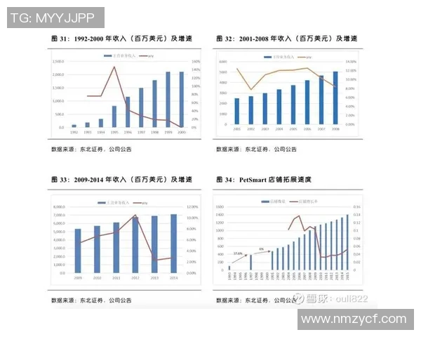 深圳羽毛球队的运营揭秘与发展深度分析