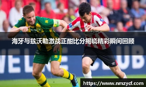 海牙与兹沃勒激战正酣比分揭晓精彩瞬间回顾